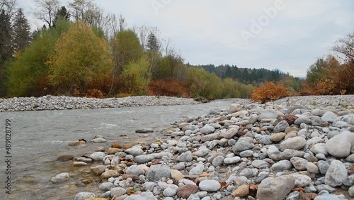 Small stream flowing downstream in pristine nature. River bank is covered with colorful trees. Autumn or fall season. Rocky shore. Static shot, real time, low angle