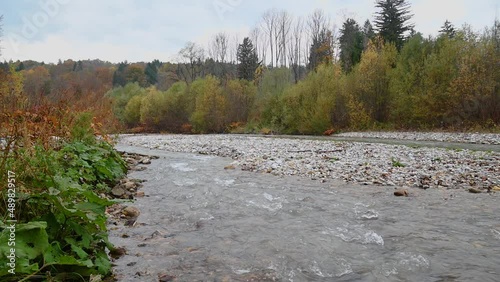 Small river flowing downstream in pristine nature. River bank is covered with colorful trees. Autumn or fall season. Rocky shore. Static shot, real time