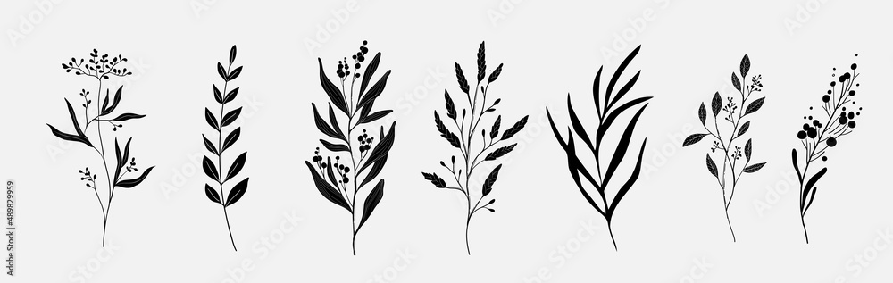 Minimal feminine botanical floral branch in silhouette style. Hand drawn wedding herb, minimalistic flowers with elegant leaves. Botanical rustic trendy greenery vector