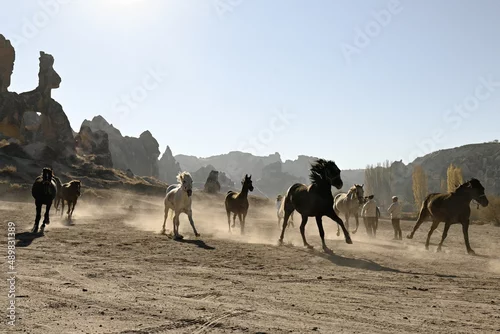 Fototapeta samoprzylepna 83 Turkey Kapadocja