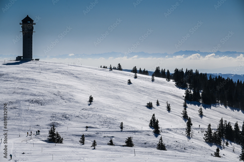 Fototapeta premium Feldberg / Südschwarzwald