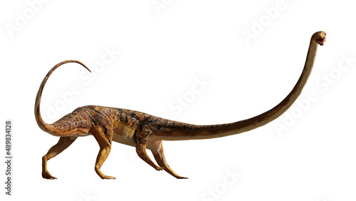 Tanystropheus, extinct reptile from the Middle to Late Triassic epochs, isolated on white background © dottedyeti
