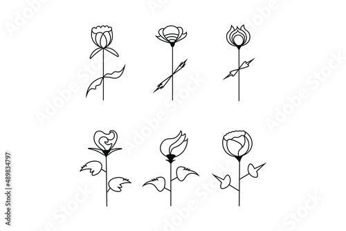 flower outline set, natural floral branch elements set, vector line illustration, continues line drawing, ornaments