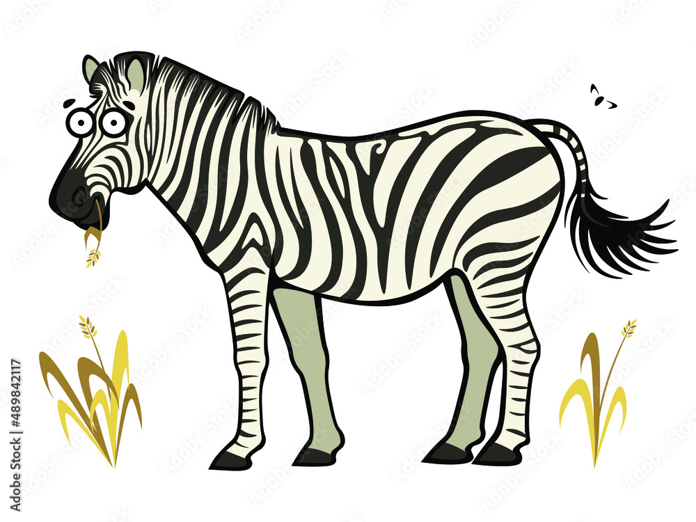 Fototapeta premium Cute cartoon carefree zebra chewing dry grass straw