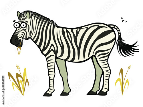 Cute cartoon carefree zebra chewing dry grass straw