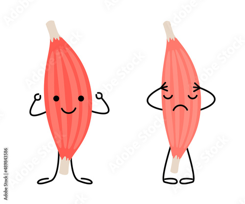 Healthy happy muscle and weak sad pain muscle character. Strong and frail tension fiber part body human. Skeletal muscle, inside tissue. Vector illustration photo