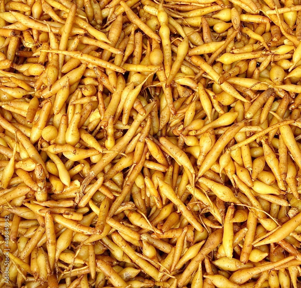 Kaempferia with close up shot, Top view, Thai herb Kaempferia with close up shot, Top view, Thai herb