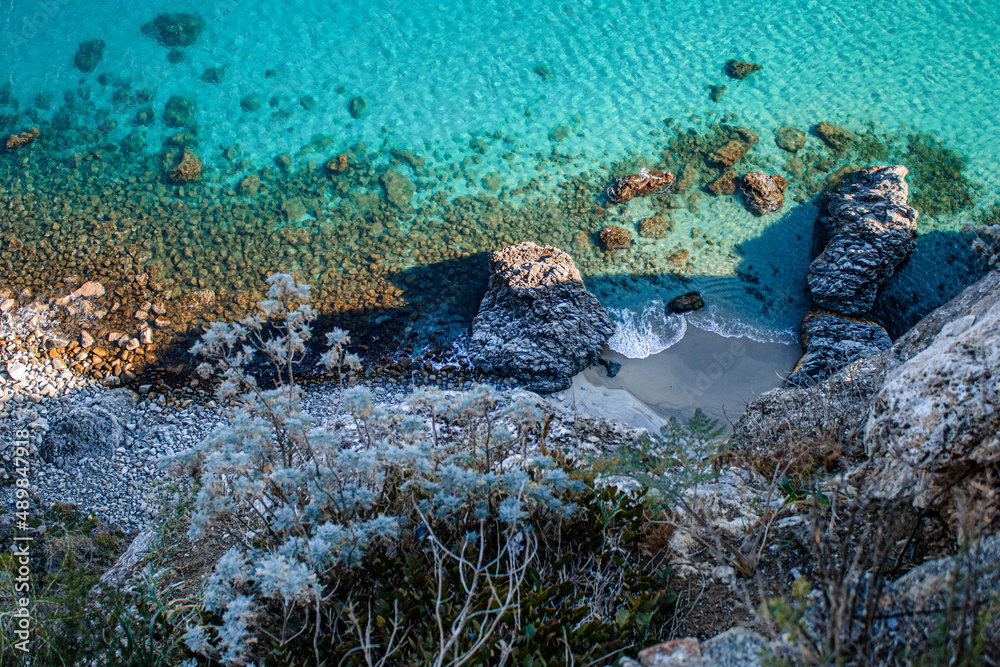 Fototapeta premium coral reef in the ocean