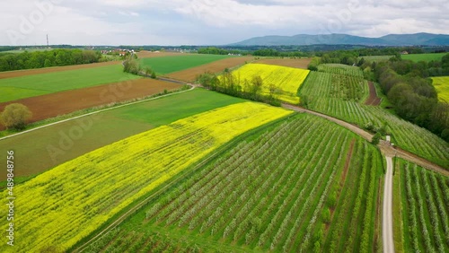 Rural area in Silesia region of Poland, drone video near Miedzyrzecze Gorne village photo