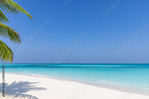 Summer beach landscape. tropical island shore  coast with palm tree leaves. Amazing blue sea horizon  bright sky and white sand as relaxing vacation mood  travel background concept. Exotic destination