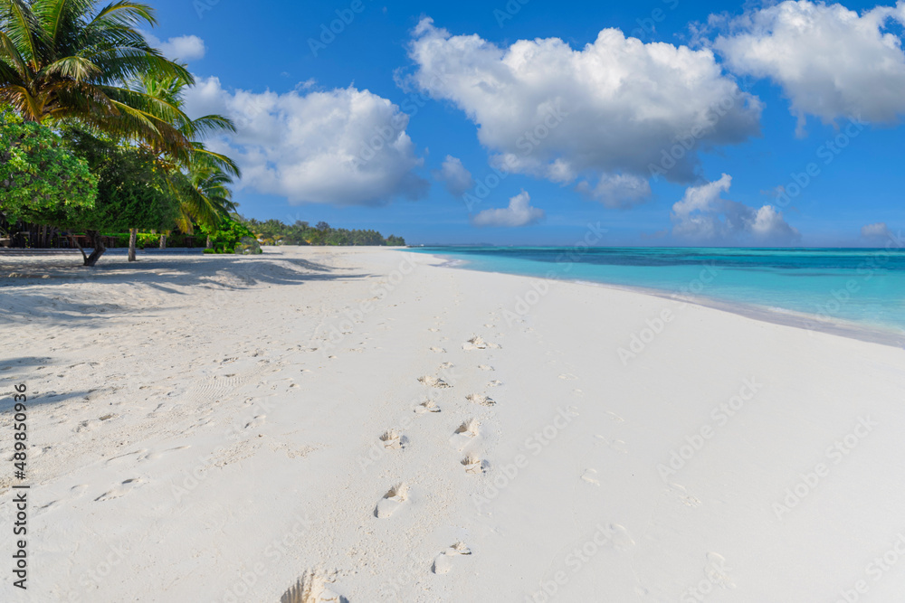 Sunny tropical beach with foot steps in white sand and palm trees on Maldives. Footprints on exotic beach landscape, tropical island shore, calm sea view under blue bright sky horizon. Couple vacation