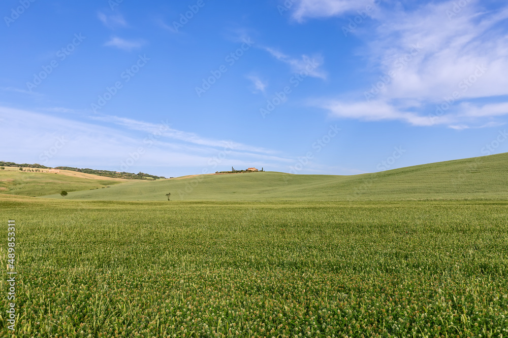 Minimalist landscape panoramic view with a clear horizon and far away farmhouse on it. Tuscany, Italy