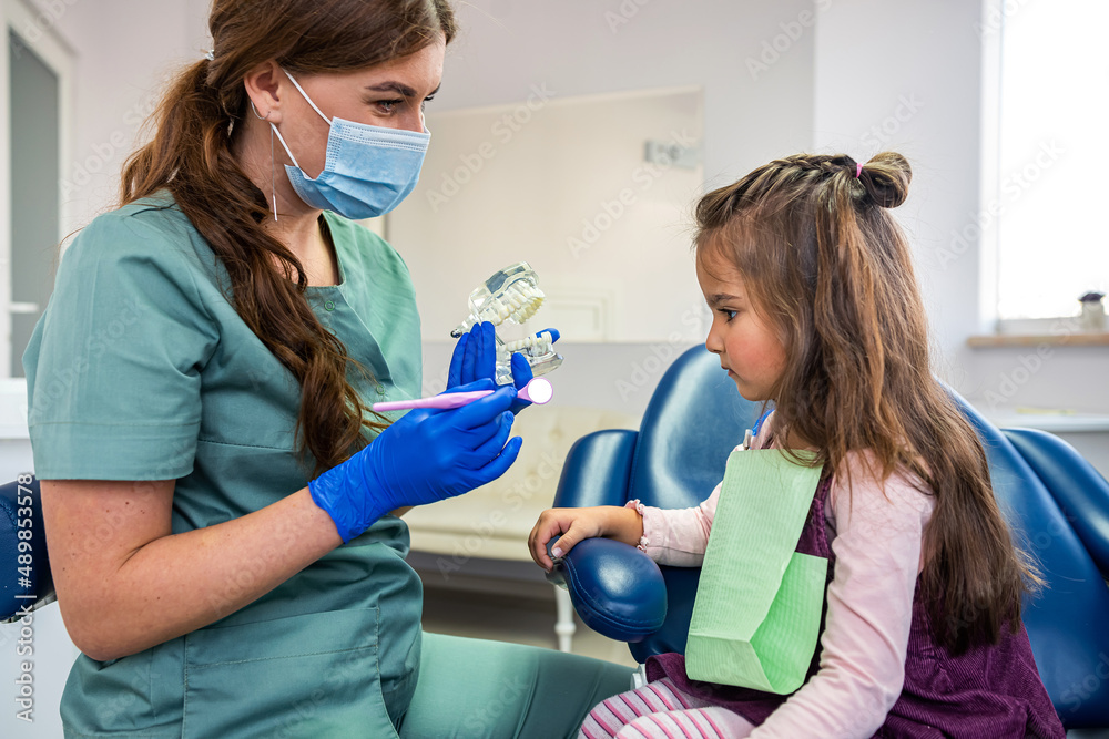 Dentist showing child patient how to use tooth brush on miniature jaws at clinic Dentist showing child patient how to use tooth brush on miniature jaws at clinic