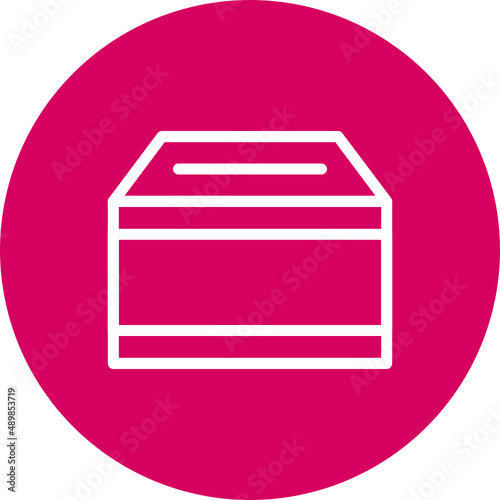 Voting Box Icon