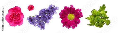 Obraz na płótnie A collection of colourful spring flower heads isolated against a white background w salonie