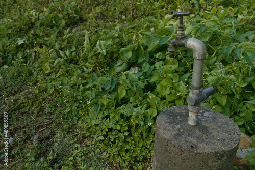 faucet in a garden with green plant growing naturally which indicate good agriculture. 
