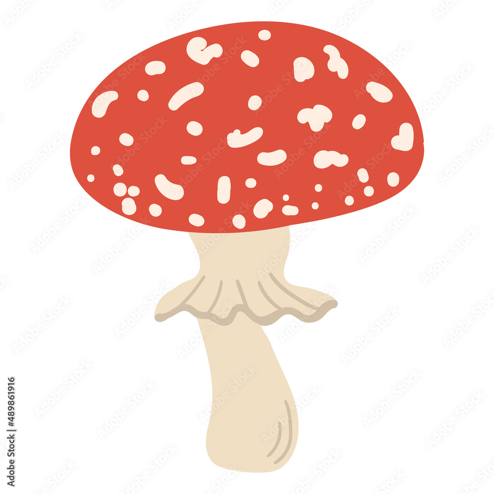 Hand drawing forest wild mushrooms. Can be used for menu design, label, badge, recipe, packaging. Hand drawing forest wild mushrooms. Can be used for menu design, label, badge, recipe, packaging.