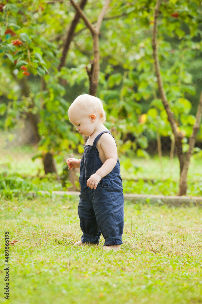 The cute baby boy enthusiastically walks in the summer garden The cute baby boy enthusiastically walks in the summer garden