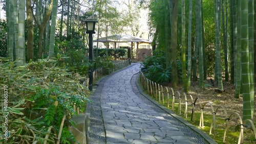 修善寺竹林の小径
