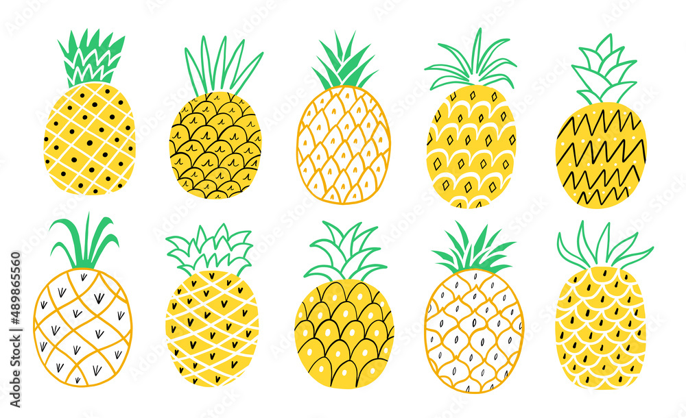 Pineapple vector hand drawn cute set isolated Pineapple vector hand drawn cute set isolated