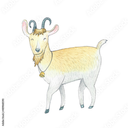 Funny Goat Character