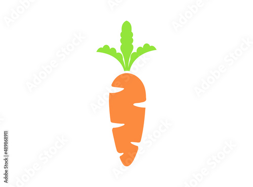 carrot logo vector design
