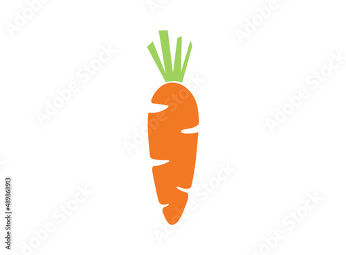 carrot logo vector design
