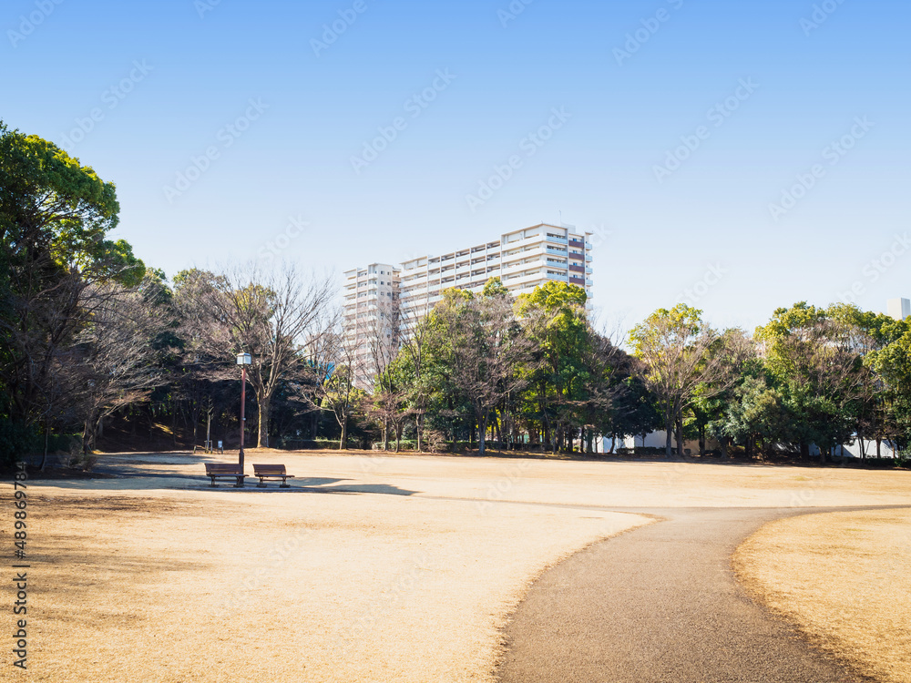 Obraz premium 冬晴れの公園 多摩ニュータウン