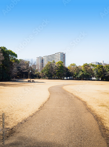 冬晴れの公園 多摩ニュータウン