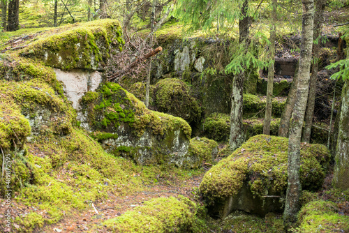 inside the ancient fort is a mossy stone fortification of old times