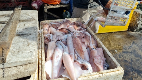 squid isolated on market. squid rings or calmari on fish market photo