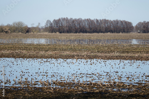 Überschwemmung auf den Feldern nach Dauerregen