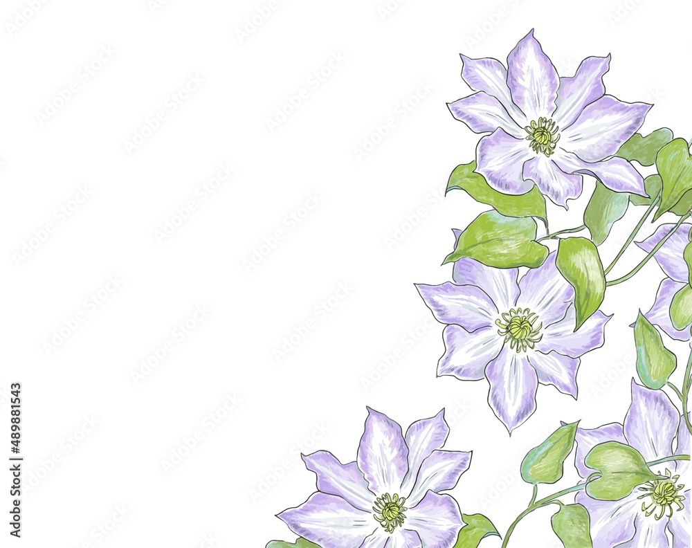 Naklejka premium 夏の青い花 クレマチス 右下フレーム