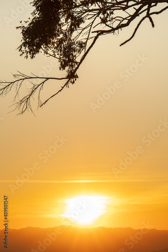 Fototapeta Naklejka Na Ścianę i Meble -  Landscape photo of sunrise or morning time with view of mountain and tree branch.