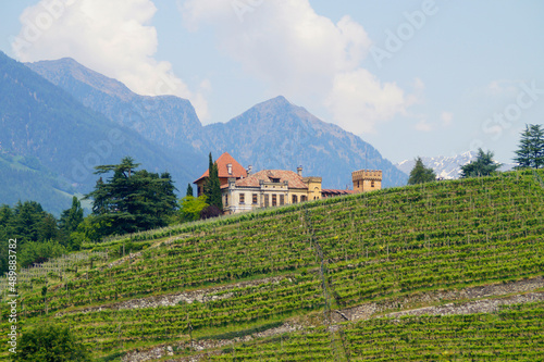 Beautiful mediterranean Italian spring in Meran or Merano (South Tyrol): Italian Alps, lush green trees and mediterranean villas 