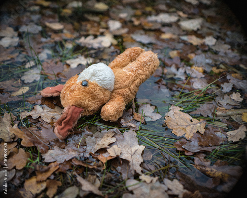 Dog, soft toy fell into cold water. © Tatiana
