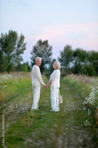 happy senior couple walking in summer park © aletia2011