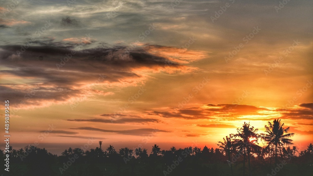 sunset over the field, bali