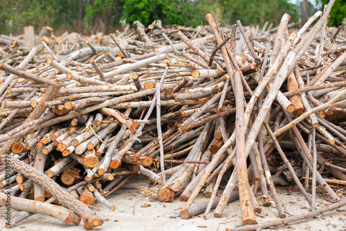 A pile of stacked firewood  prepared for heating the house. Firewood harvested for heating in winter.