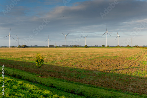Europe, UK, England, Cambridgeshire, fenland photo