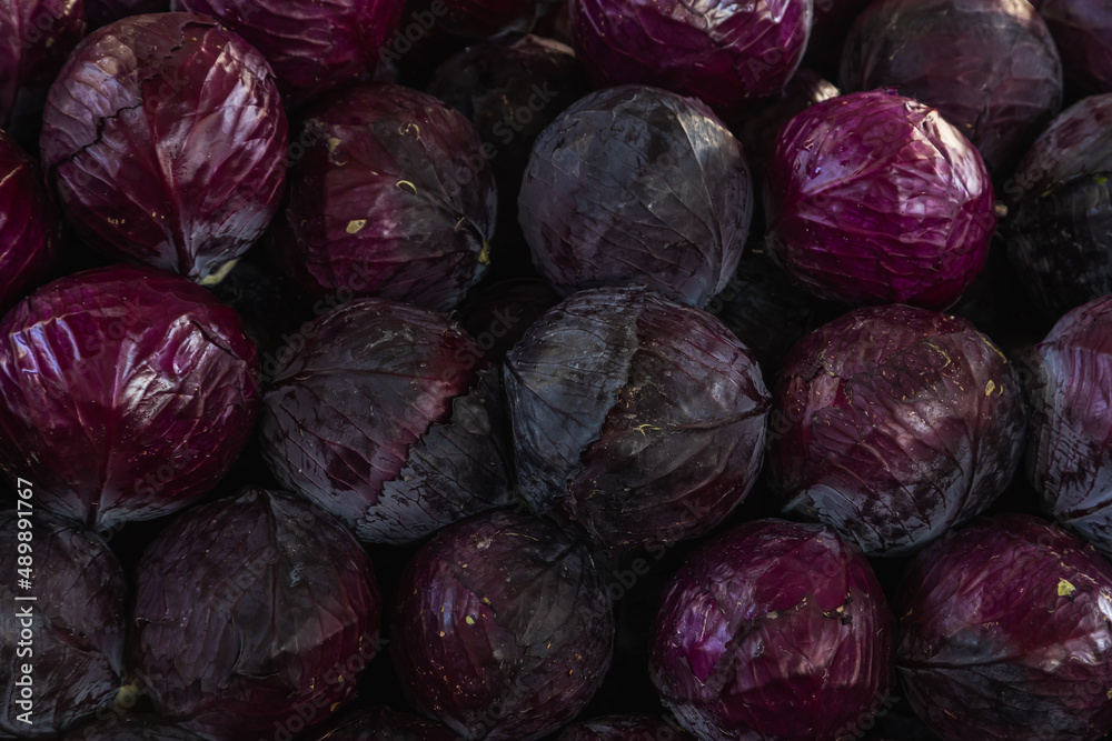 Fresh purple cabbage tubers, soft selective focus. Background with cabbage Fresh purple cabbage tubers, soft selective focus. Background with cabbage