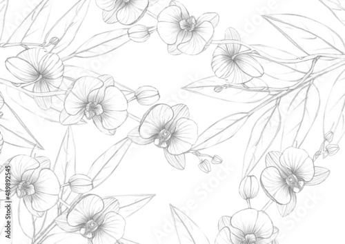 pattern, orchid sketch