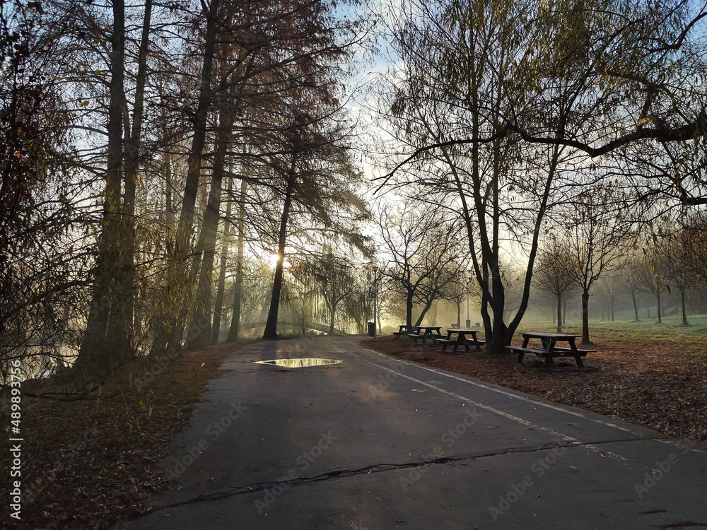Autumn morning in the park - sun rays among the trees Autumn morning in the park - sun rays among the trees