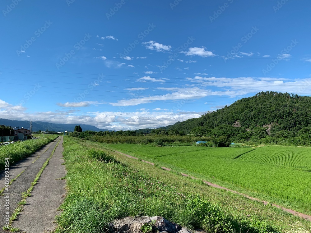 road in the mountains