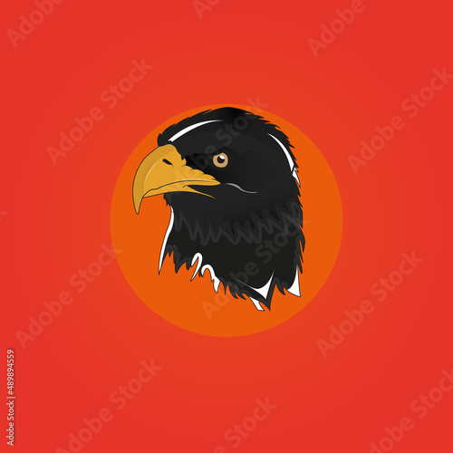 eagle