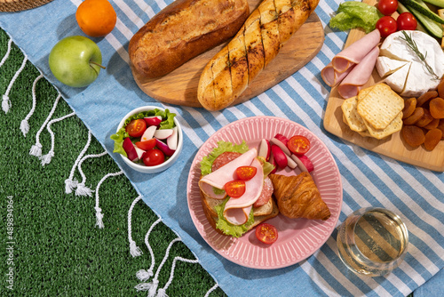 Picnic blanket with charcuterie boards, healthy food and wine in park on the grass on sunny day.