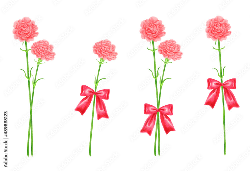A set of pink carnations drawn in digital watercolor