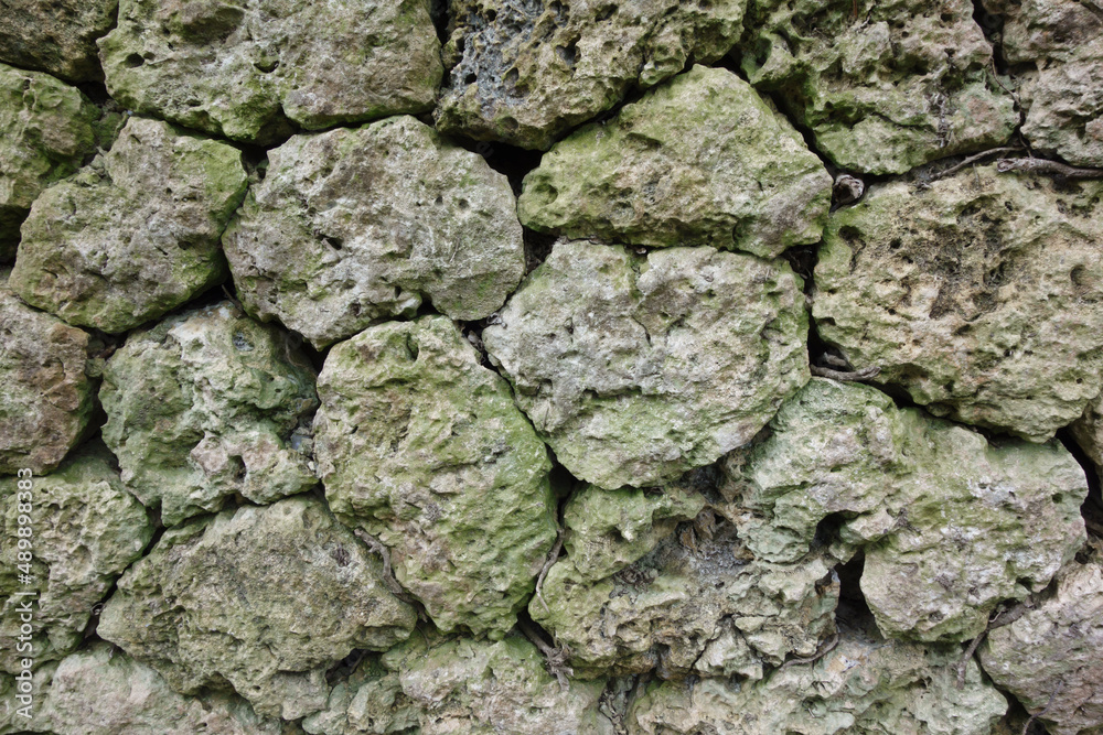 苔の生えた古い石垣のテクスチャ