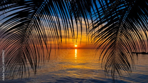 Nice sunset. Dark palm trees silhouettes on colorful tropical ocean sunset background