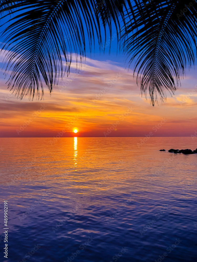 Nice sunset. Dark palm trees silhouettes on colorful tropical ocean sunset background